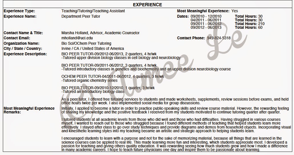 Will services singapore